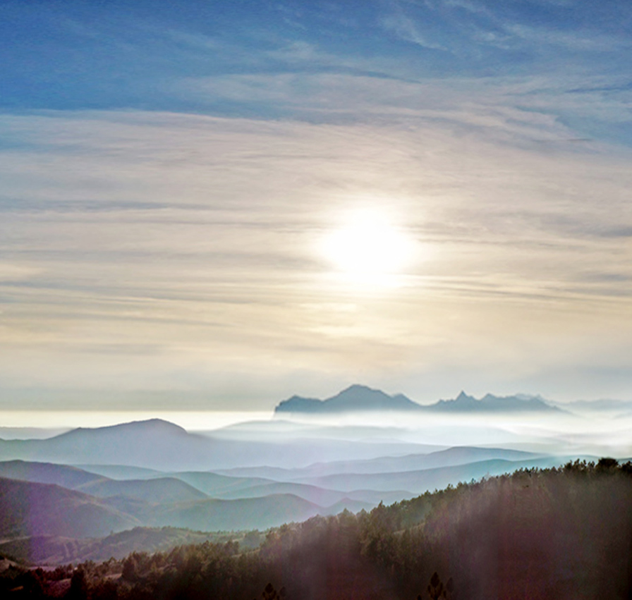 Winternebel verwandelte sich in Ströme von Milch ...