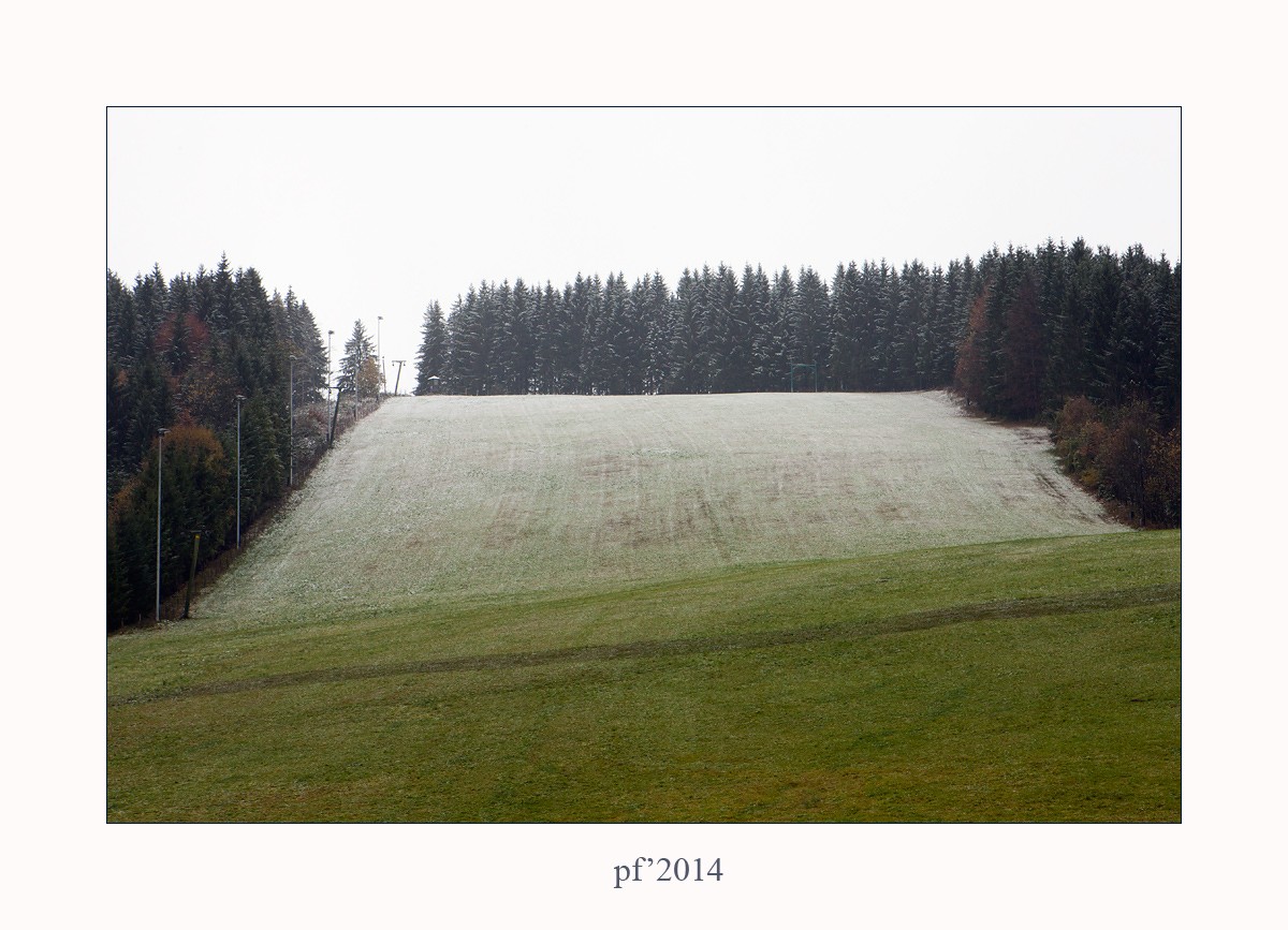 Landschaft mit Bäumen. PF  '2014