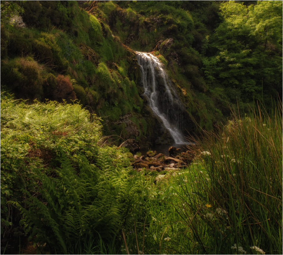 ... Über den Klang der Wasserstände und Smaragd ...