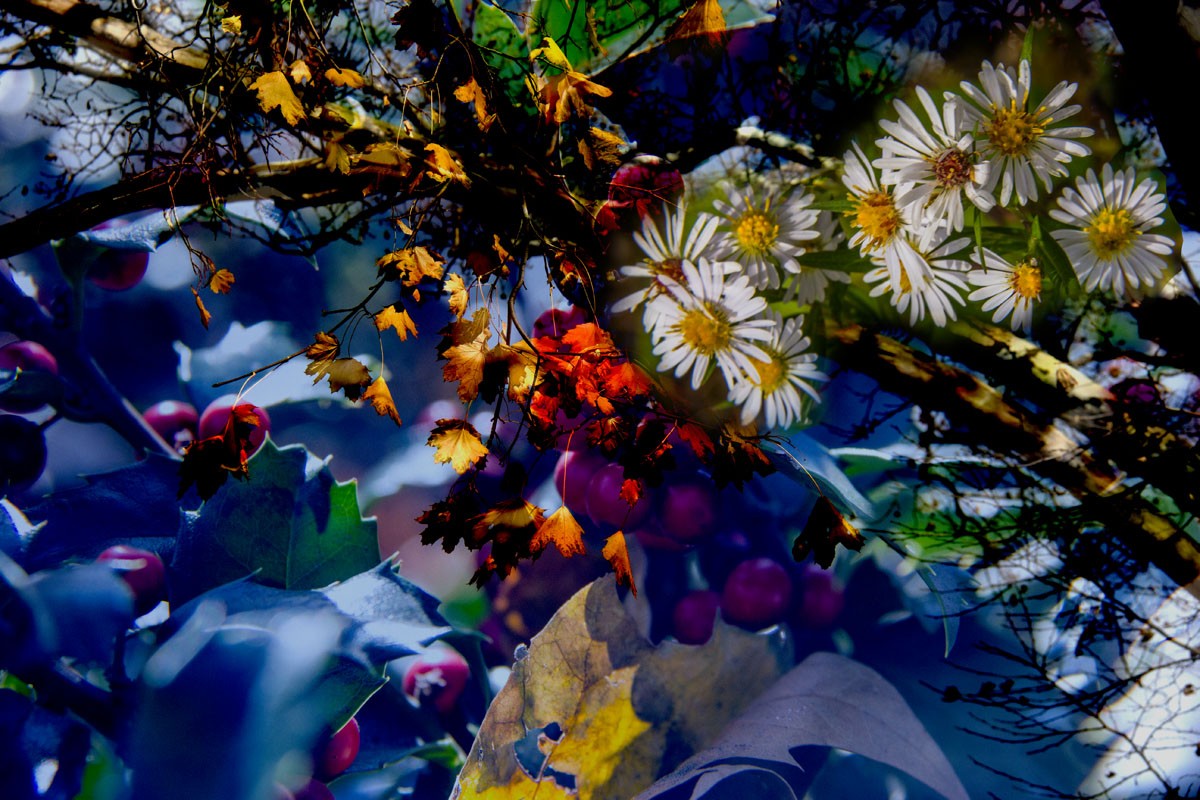 Der Frühling kommt.