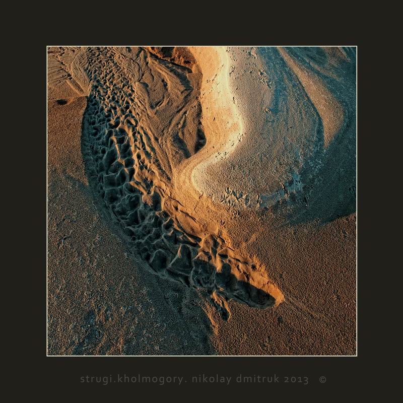 Eidechse. Abendflug N2