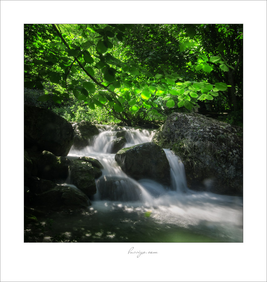 Die Frische des frühen Morgens