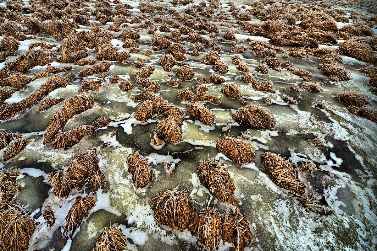 Riverside Norets friert langsam Gras