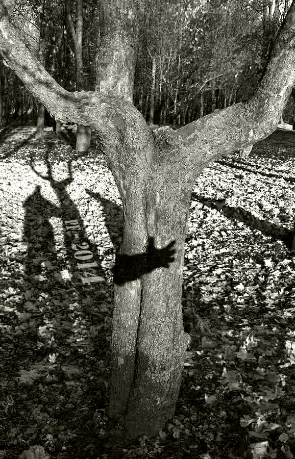 berühren unerreichbar ..