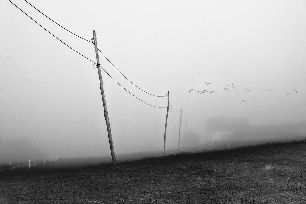 Über Drähte ...