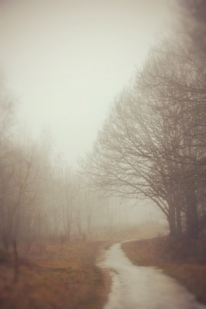 Nebel