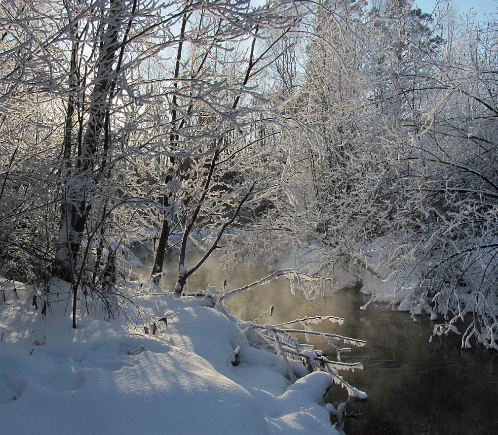 Sonniger Tag im Januar