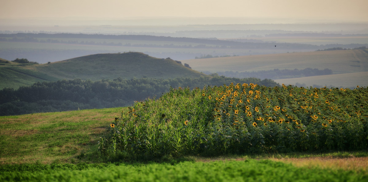 Sommer-Podolsk Skizzen