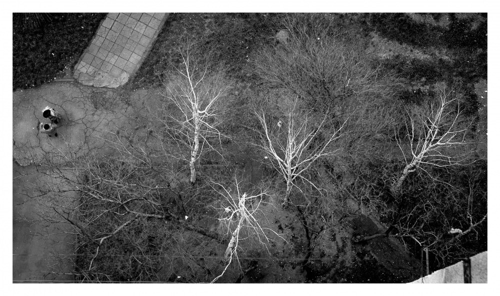 Anekdote über Birch