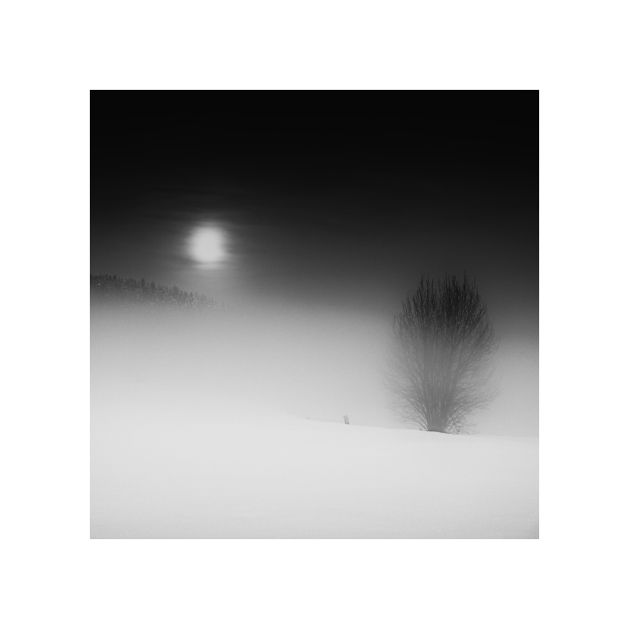 Nacht Nebel ............