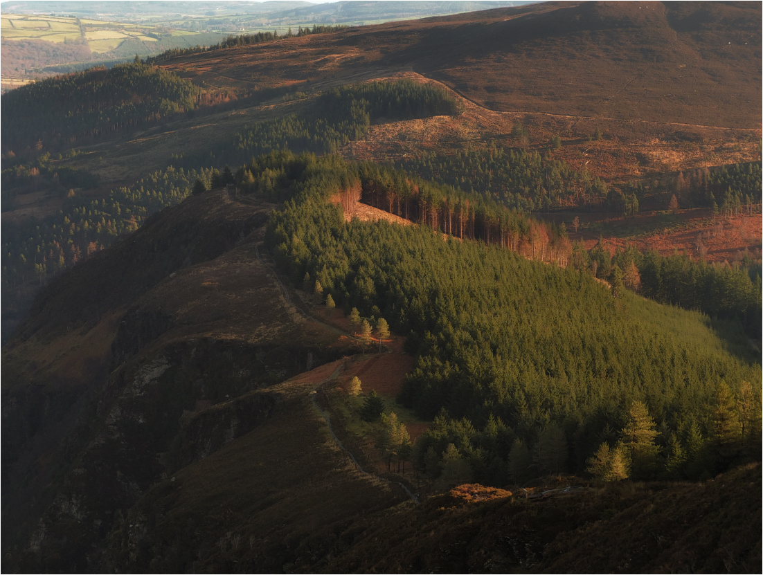 ... Über die "Weihnachtsbaum" und Brenner ...