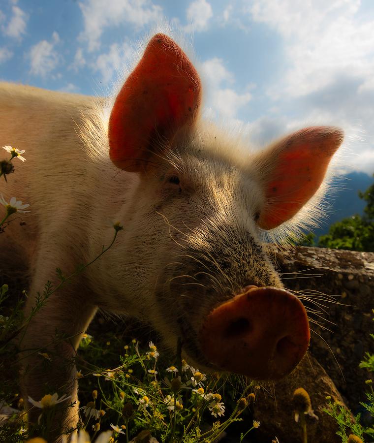 Lächeln trüben Tag ...