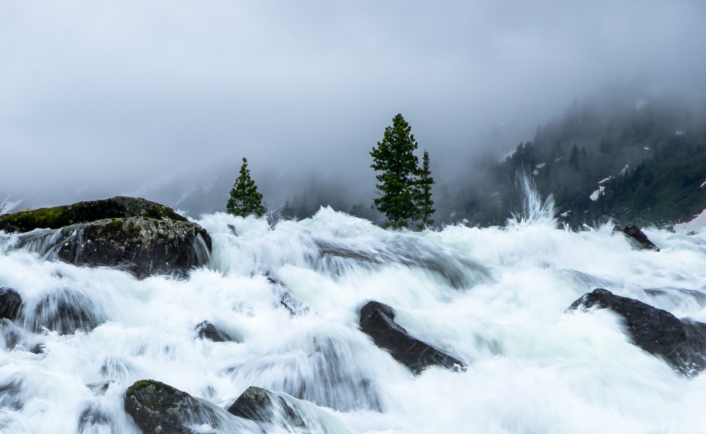 Wenn die brüllenden Lärm