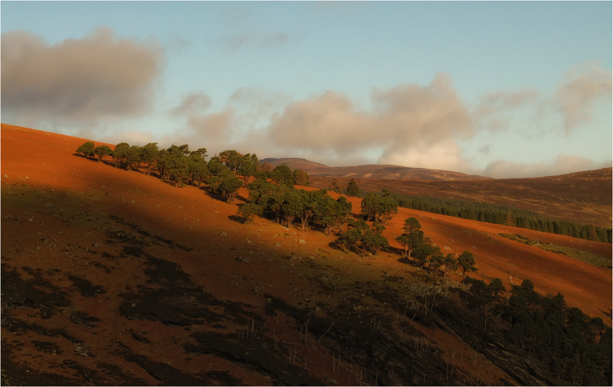 ... Fanai feurigen ...