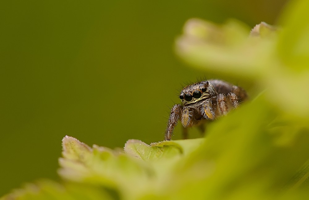 Suche in der Umgebung