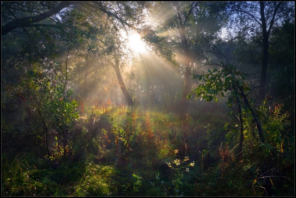 Woher kommt der Kobold ....