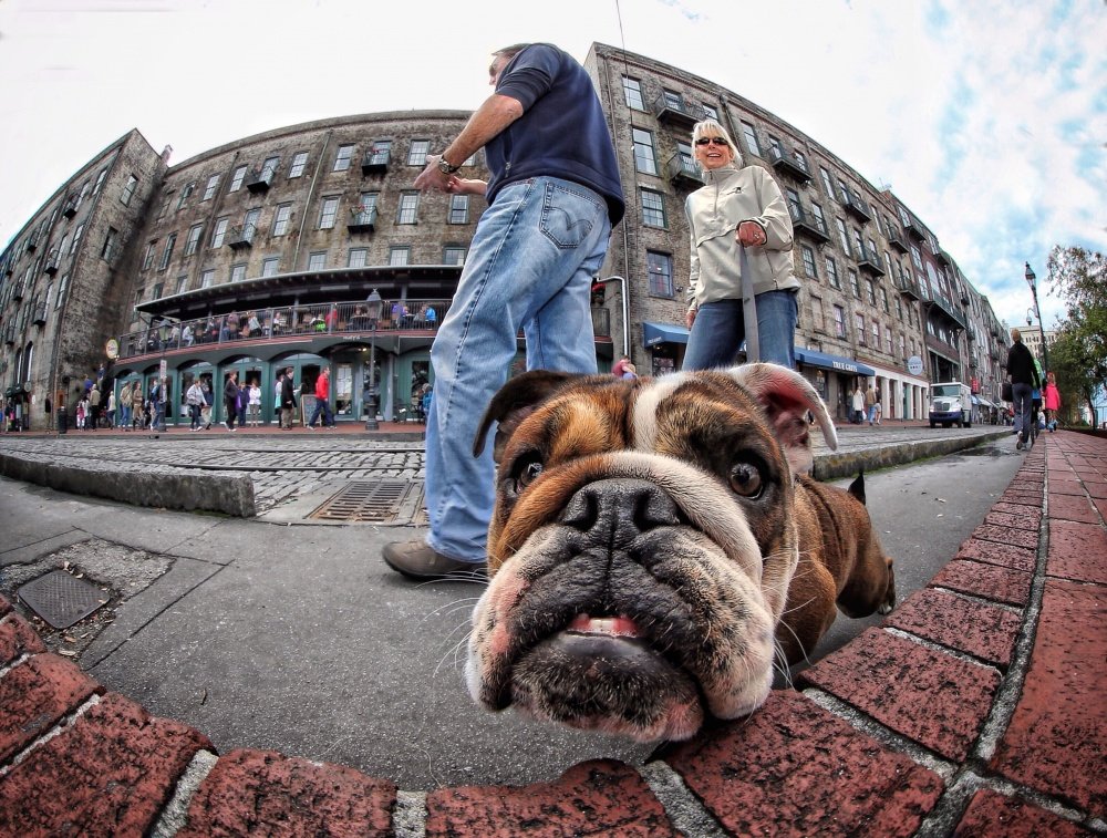 Neugier ... (Neugier ...)