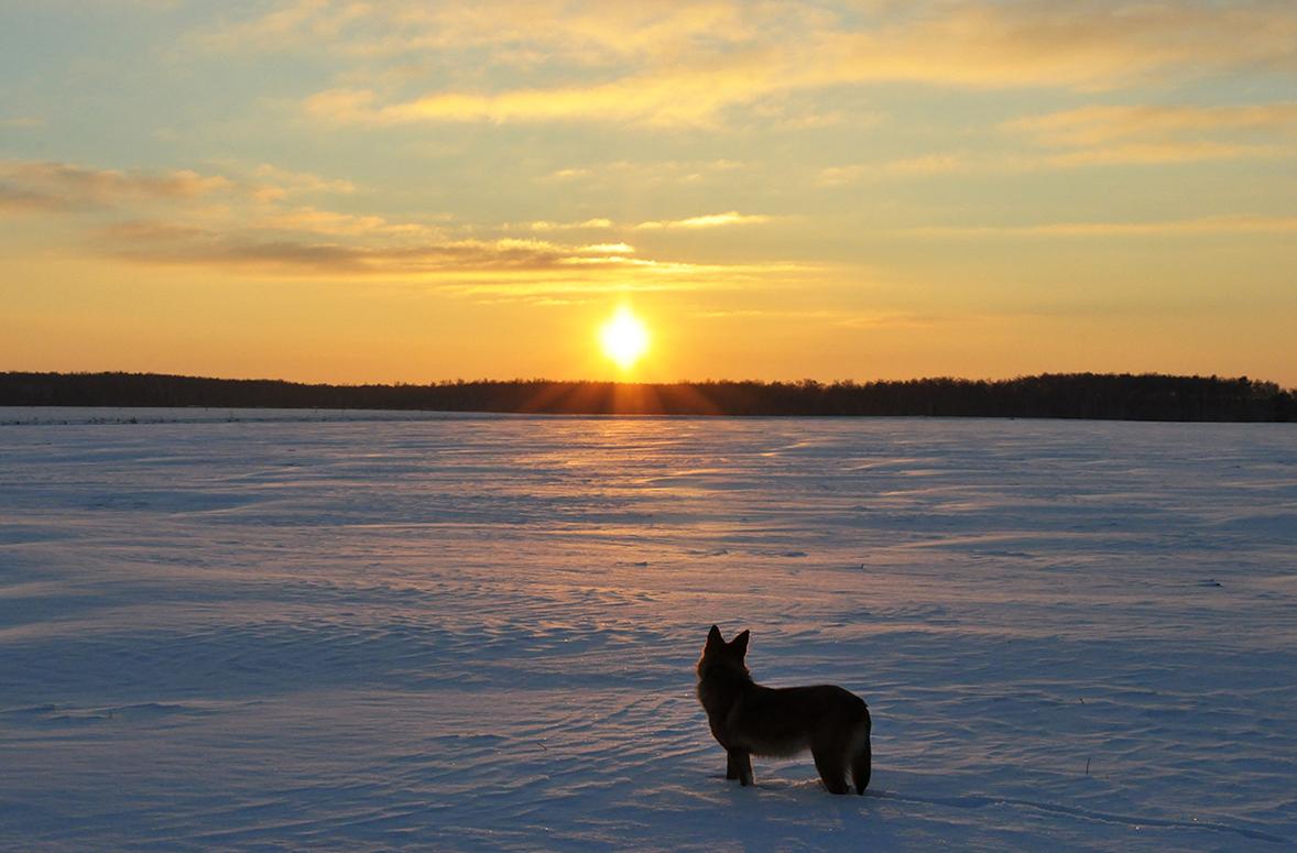 Ahead frostigen Nacht.