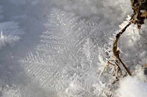 Diamant lässt Winters