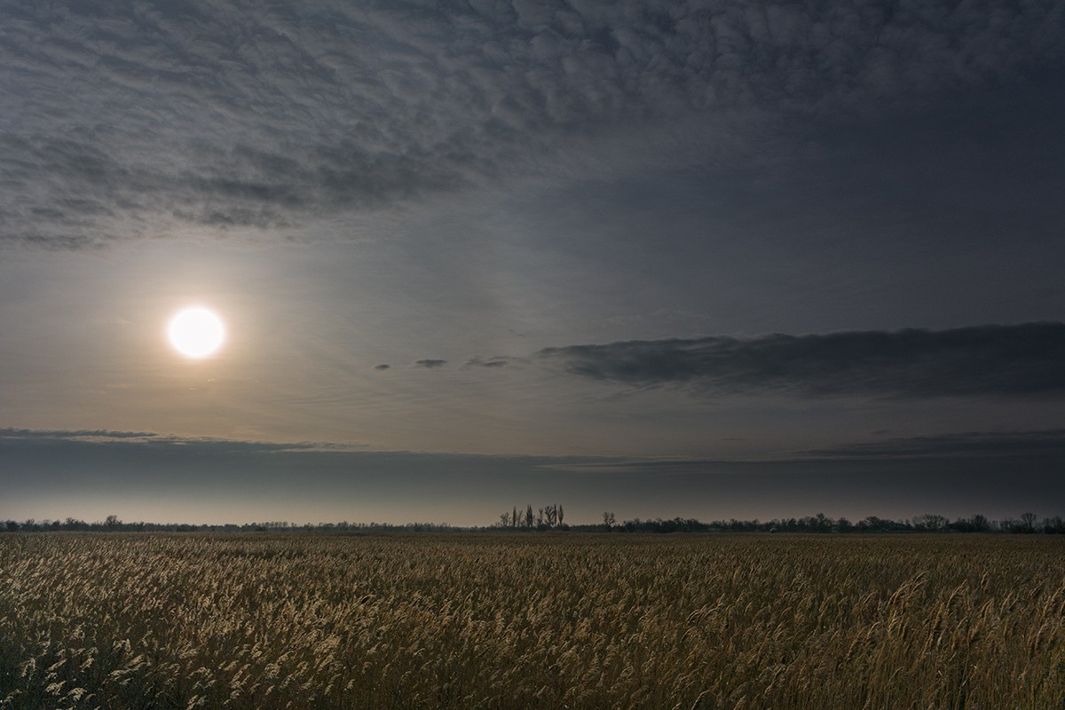 Morgen frostige Landschaft
