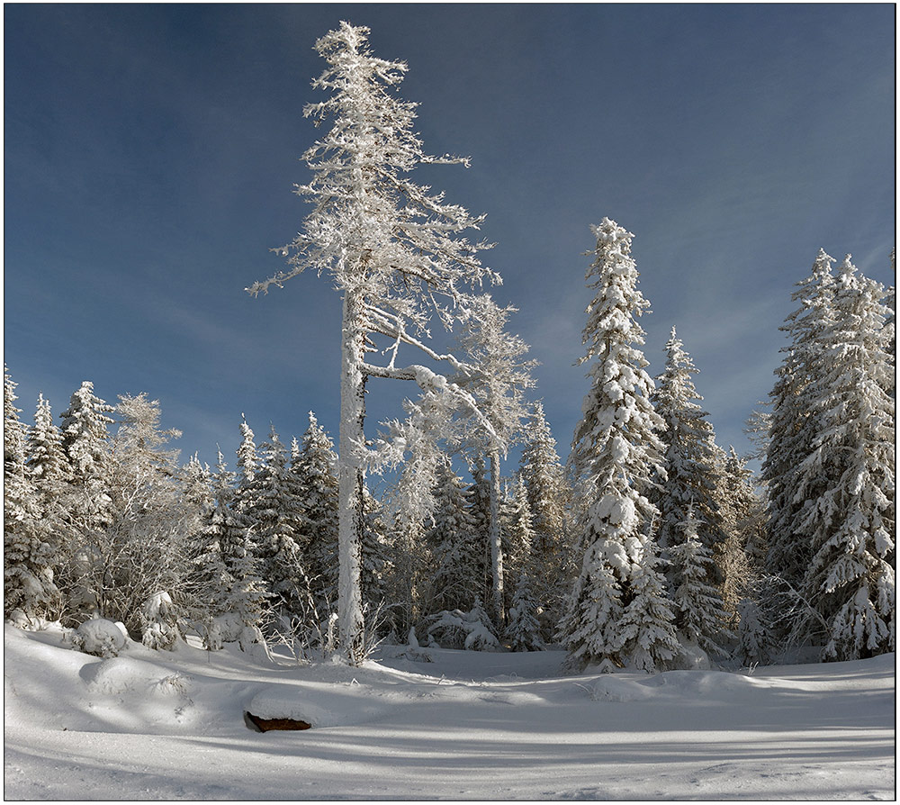 In die offenen Arme von Schnee