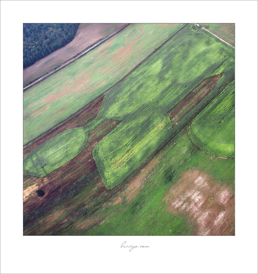 Geheimnisvolle weben