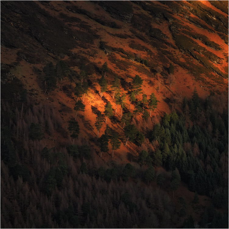 Ar ... Ghathanna ghrian fhánaí adhmaid ...