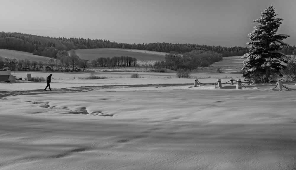Den einsamen Reisenden