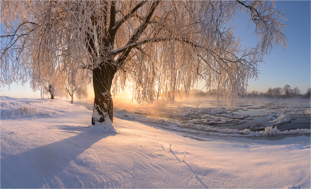 Epiphany Morgen. (Serie)