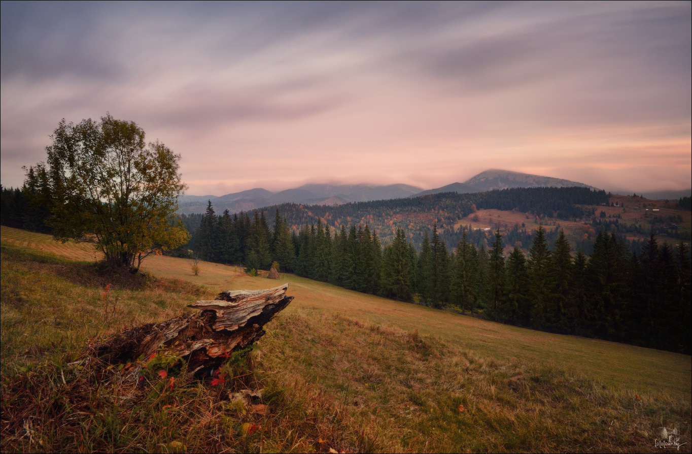 / Gorgan. Herbst ... /