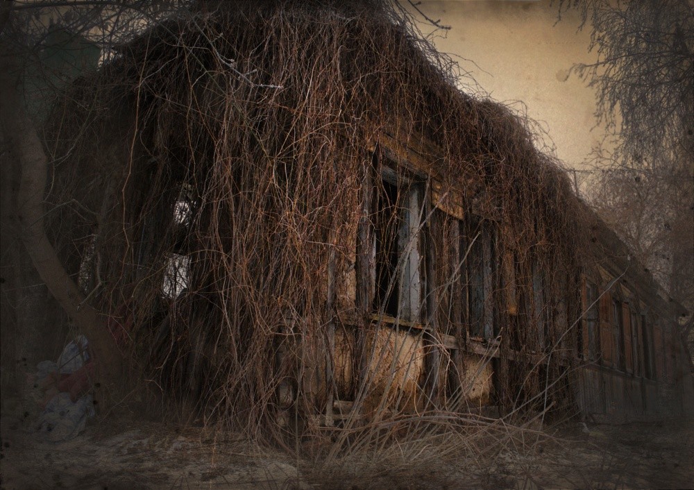 Leben nach dem Leben