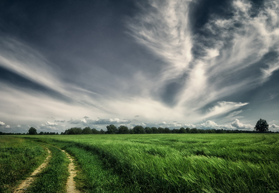 Unter weißen Flügeln