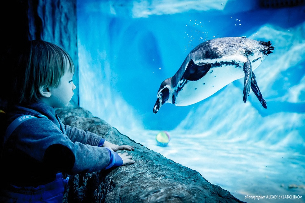 Das Treffen zweier Welten