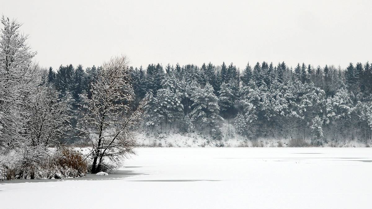 Der erste Schnee des Jahres 2014.