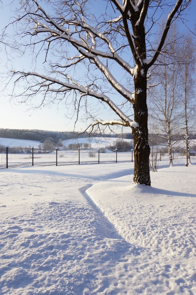 Muranovo - XIX Jahrhundert stammende Herrenhaus im Dorf Muranovo ***