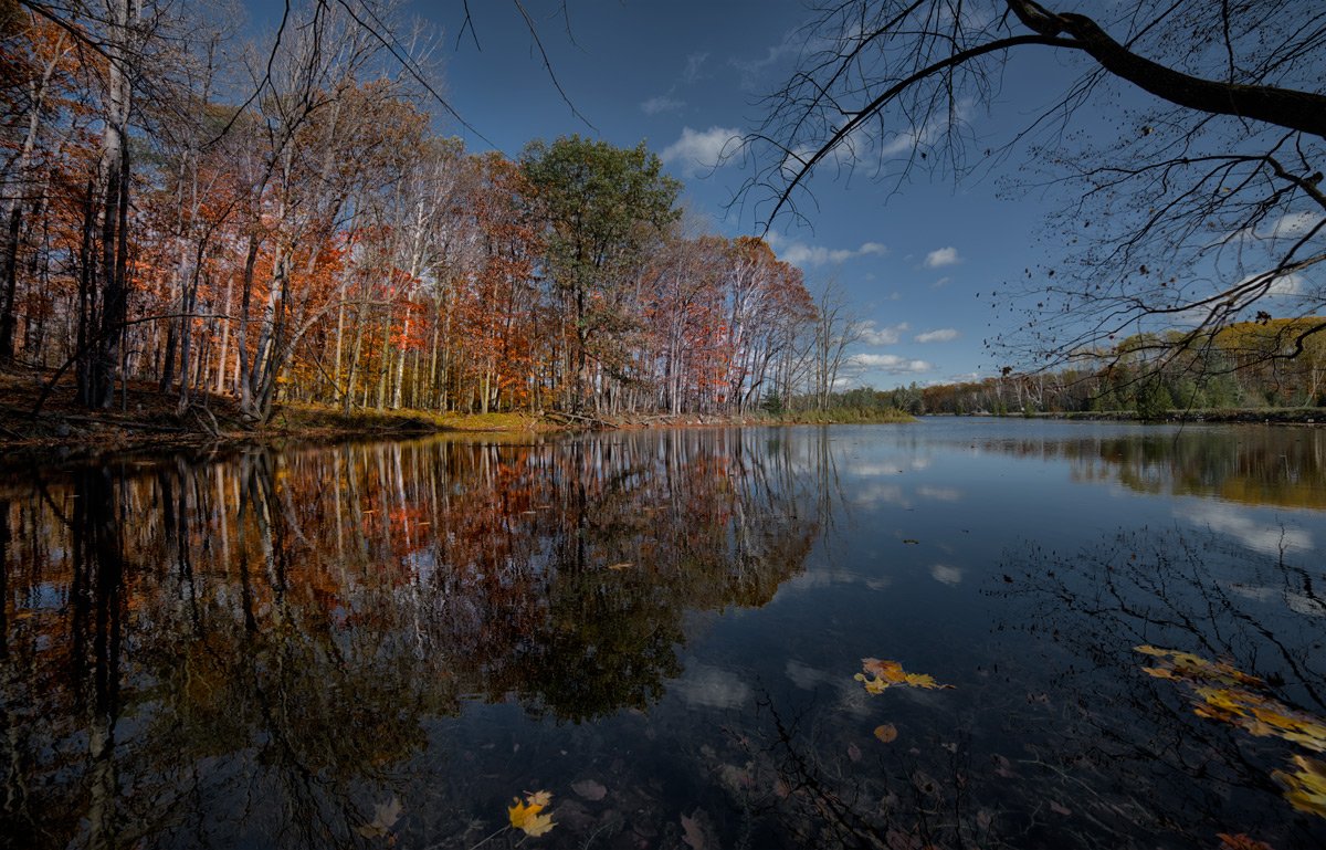 Transparent Autumn (Moriss Isl)