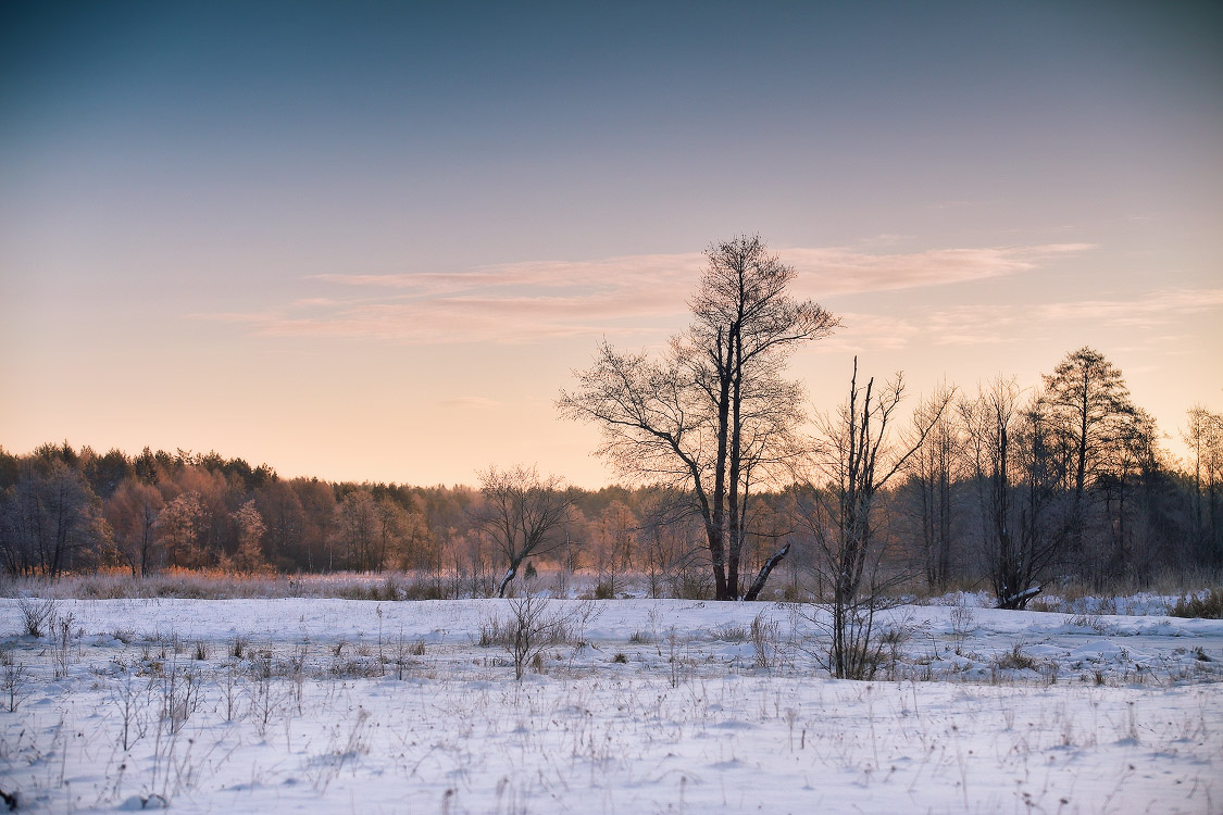 Wintermorgen in Sula