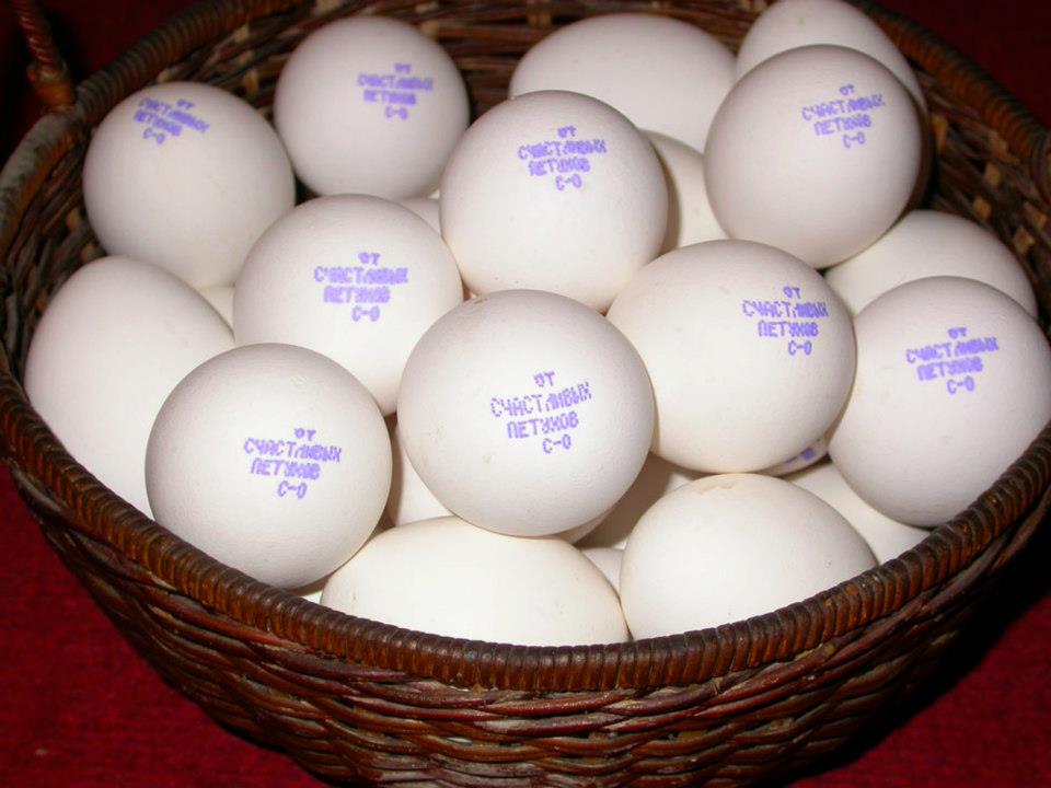 Von glücklichen Schwänze!