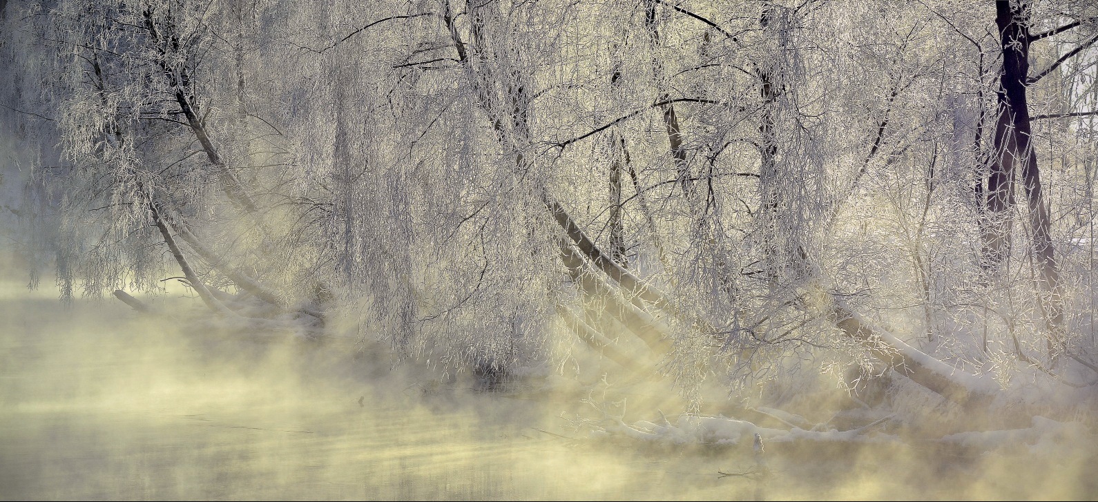 durch Nebel dominiert