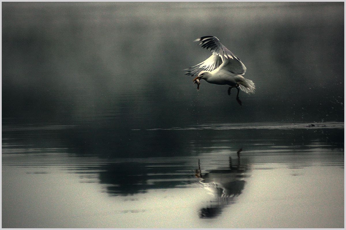 erfolgreichen Fischfang