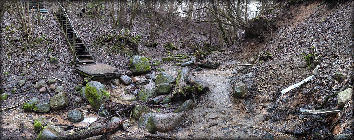 Federn in der Mitte des Winters