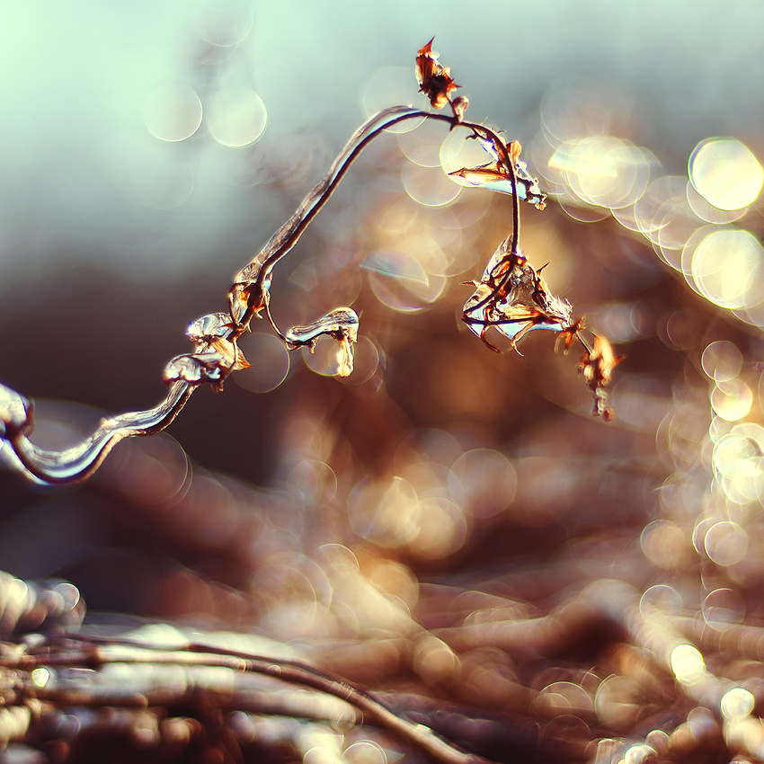 Eine Art Taschenlampe)