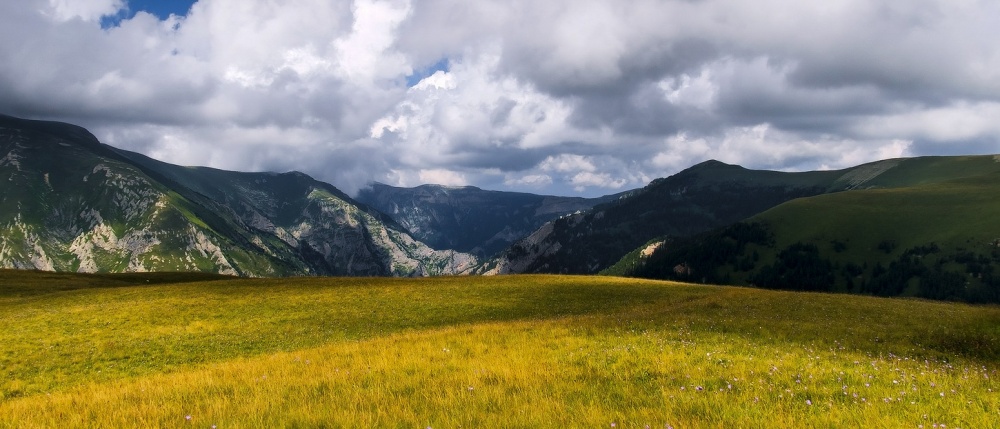 Ausgedehnte Lagonack