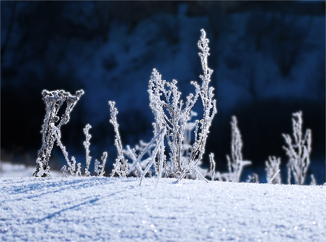 Ornamente für Schneewittchen