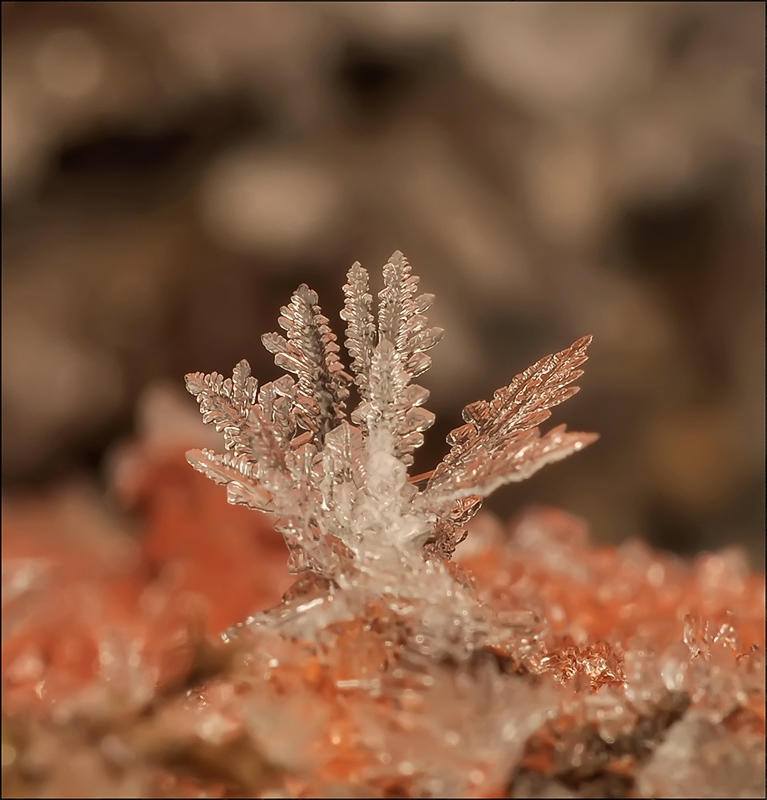 Nicht eine theatralische Fiktion ...