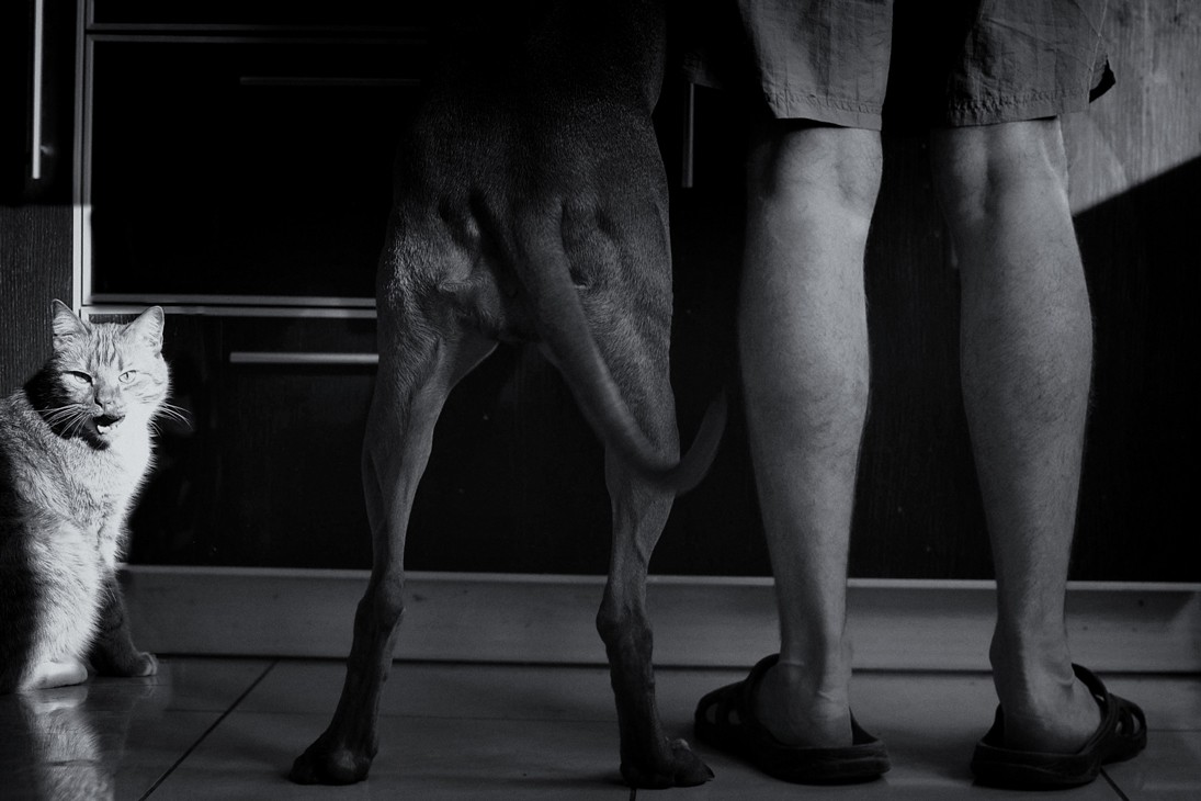 Cho, ist etwas falsch?