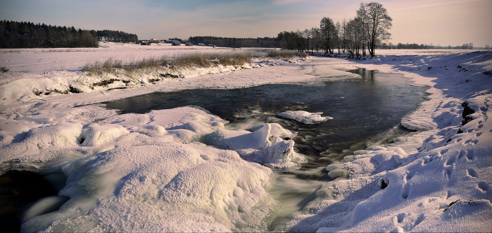 Schnurrbart an einem frostigen Morgen