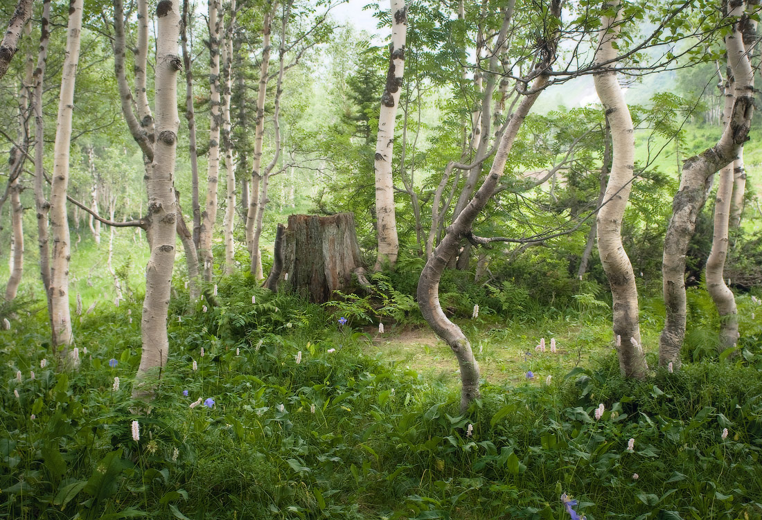 "Opa, erzählen die Geschichte ..