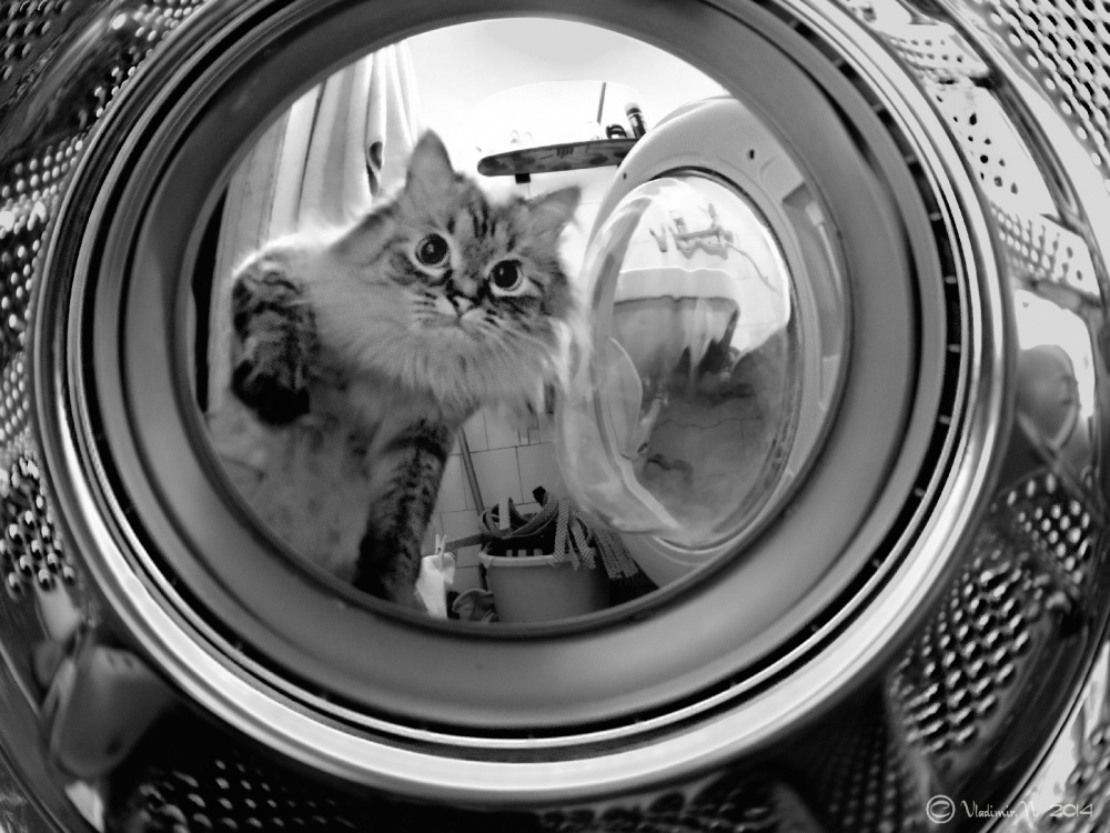 Erde durch das Bullauge sichtbar