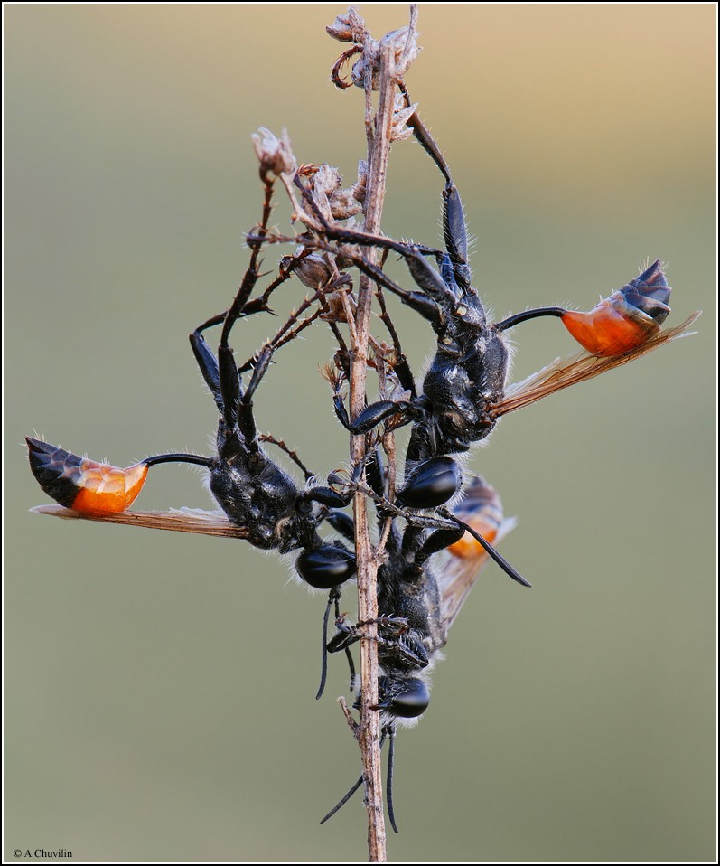 Gruppe von drei Personen)